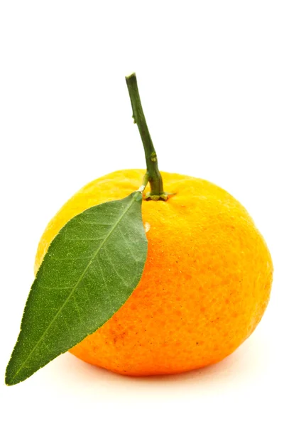 stock image Orange on white background