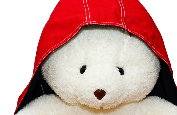 Белый медведь в красном капоте — стоковое фото