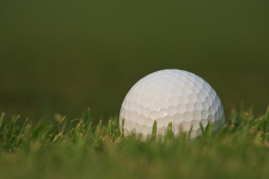 Yeşil çimlerin üzerinde golf topu