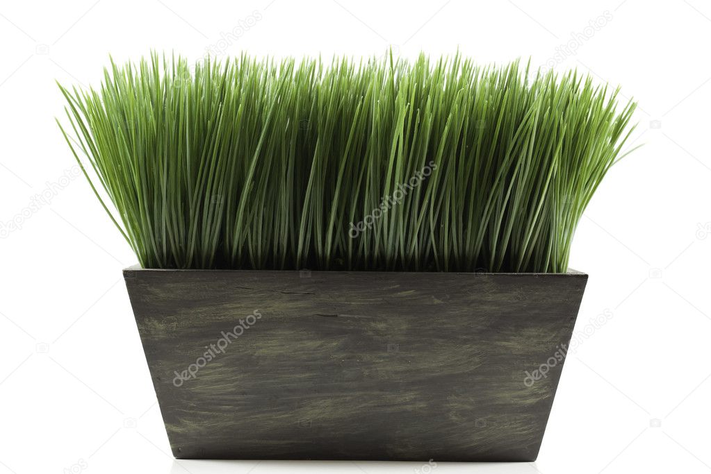 Planter with grass
