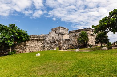 Maya harabelerini - tulum Meksika