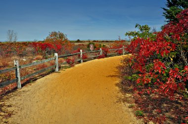 Sandy footpath clipart