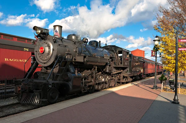 O trem do motor a vapor — Fotografia de Stock