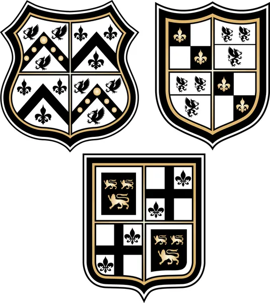Escudo emblema real heráldico — Vetor de Stock