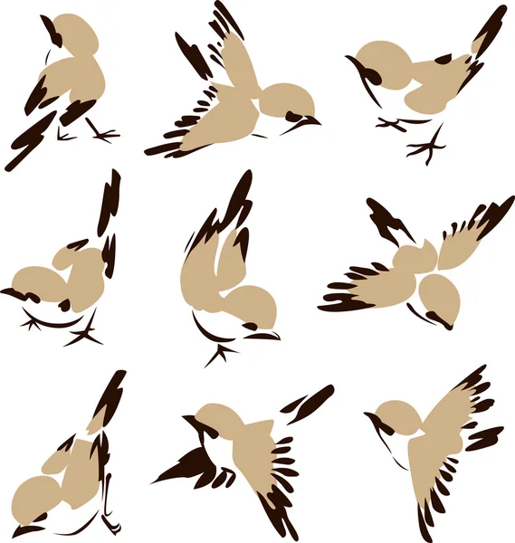 Bird in different style — Stock Vector