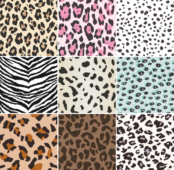 ᐈ Animal print patterns stock illustrations, Royalty Free animal print ...