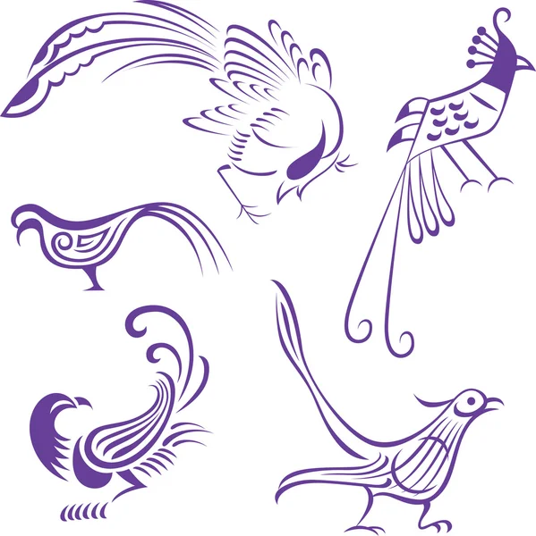 Bird illustration — Stock Vector