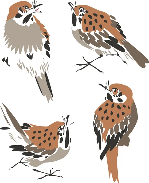Illustration d'oiseaux artistiques — Image vectorielle