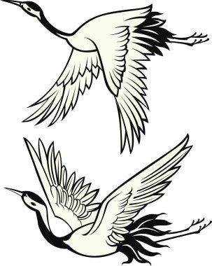 Bird illustration clipart