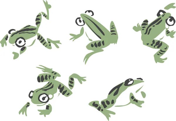 Frog illustration — Stock Vector