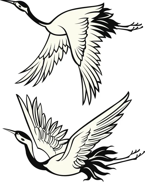 Ilustración de aves — Vector de stock