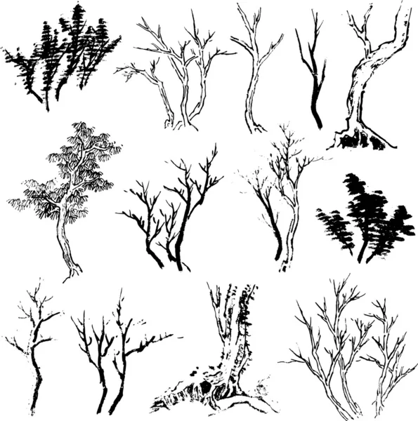 Ağaç çizim tasarım — Stok Vektör