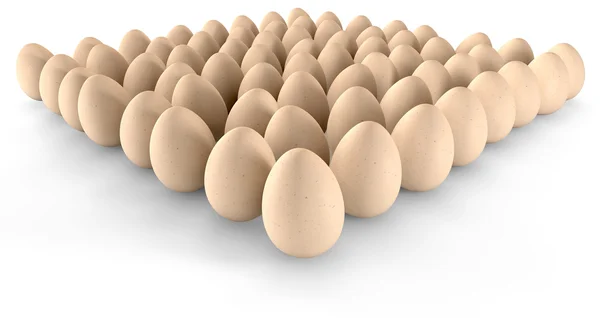 Egg Collection — Stock Photo, Image