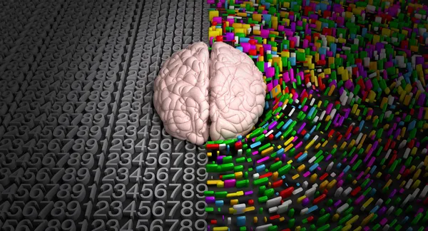 Linker hersenen & recht hersenen — Stockfoto