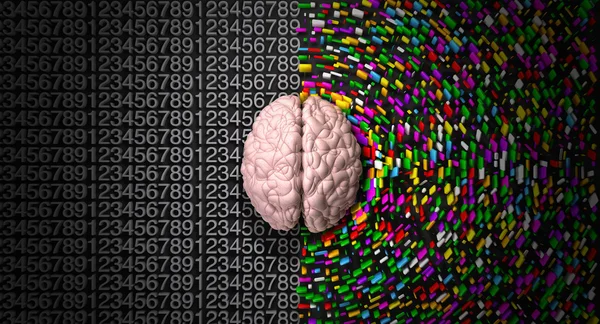 A typical brain with the left side depicting an analytical, stru — Stock Photo, Image