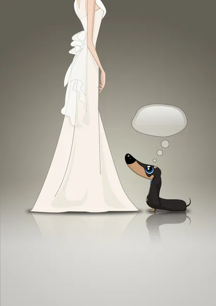 Dachsund and Bride — Stock Photo, Image