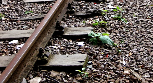 Linha ferroviária abandonada — Fotografia de Stock