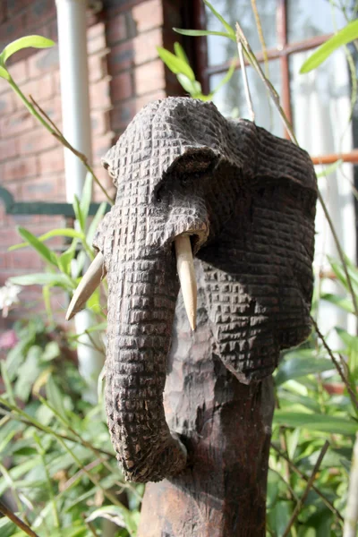 象の頭の彫刻 — ストック写真
