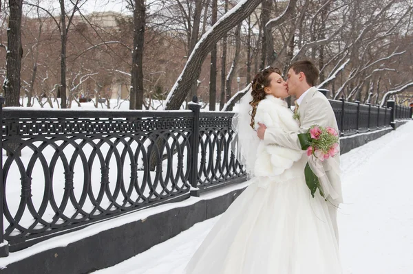 Bruden och brudgummen promenader Royaltyfria Stockbilder