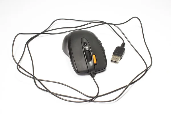 Computer Mouse — Stock Photo, Image