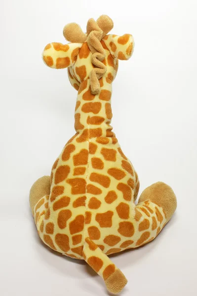 Giraff på vit — Stockfoto