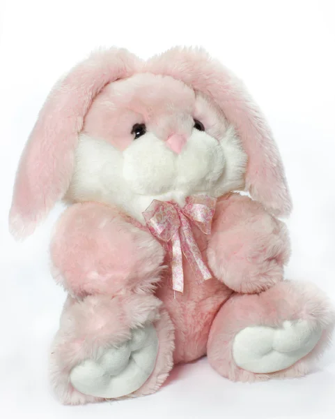 Rosa bunny på vit — Stockfoto