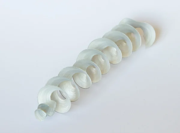 Aluminium spiral chip — Stock Photo, Image