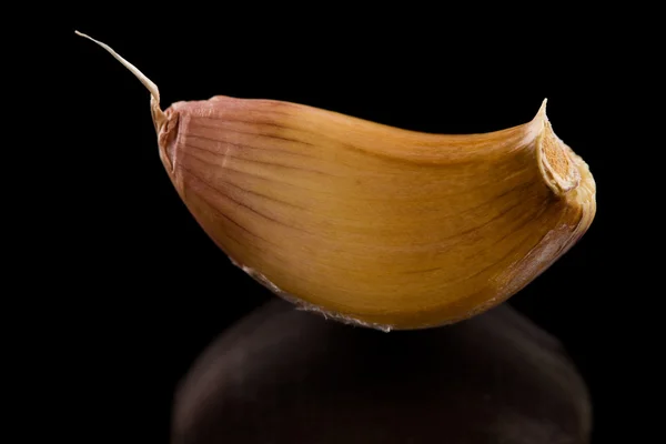 Fresh garlic clove isolated on black background — Stock Photo, Image
