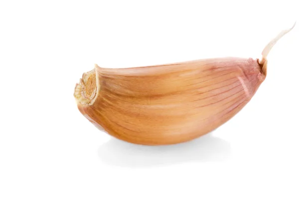 Fresh garlic clove isolated on white background — Stock Photo, Image