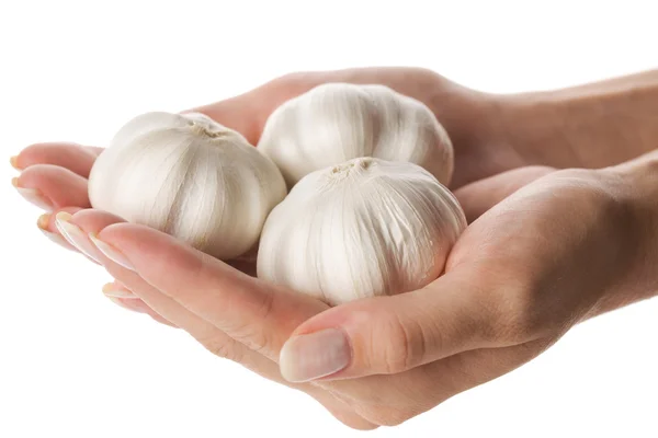 Three garlic heads in woman hand isolated — Stock Photo, Image
