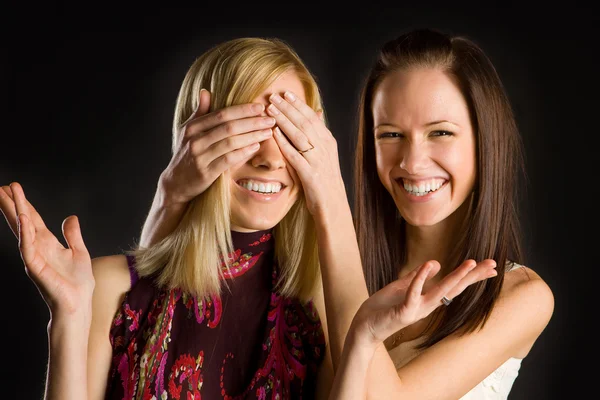 Twee schattige tweeling meisjes plezier — Stockfoto