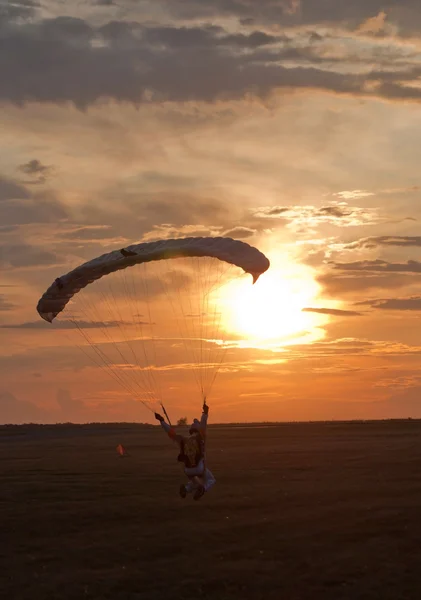 Прыжки с парашютом в направлении заката — стоковое фото