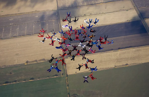 Ομάδα των skydivers στο σχηματισμό — Stock fotografie