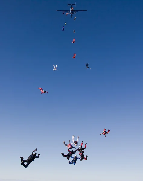 Группа парашютистов покидает самолет — стоковое фото