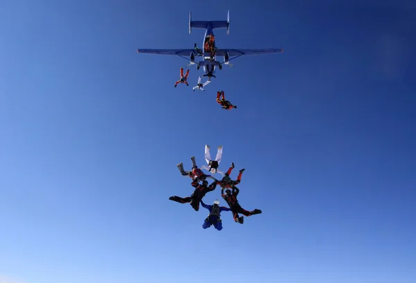 Grupul de paraşutişti părăsesc avionul — Fotografie, imagine de stoc