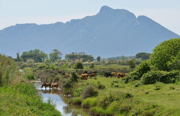 Mount circeo landscape