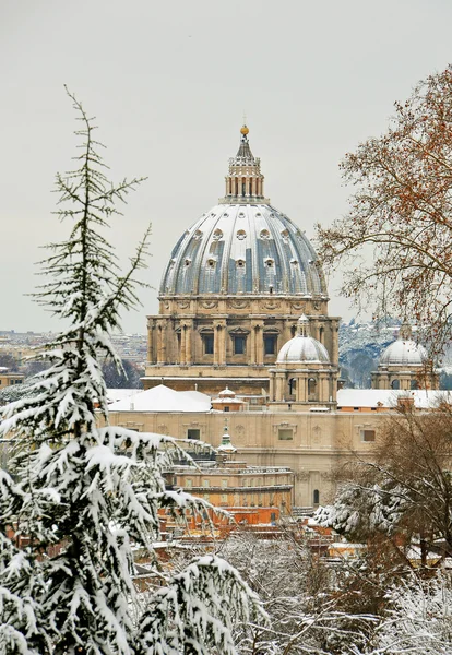 stock image Saint peter basilica under snow