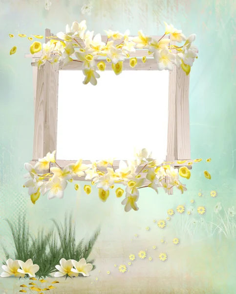 stock image Yellow flowers