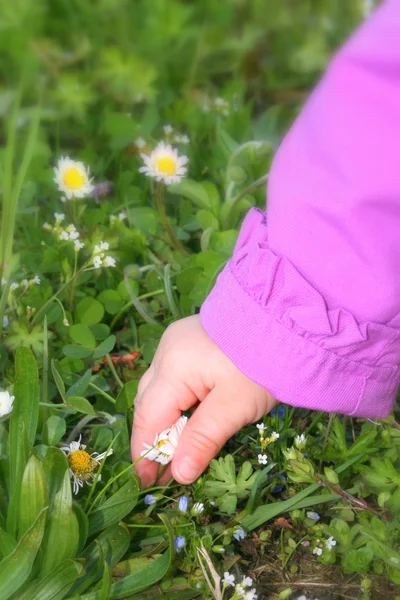 stock image Baby and flowers of the spring