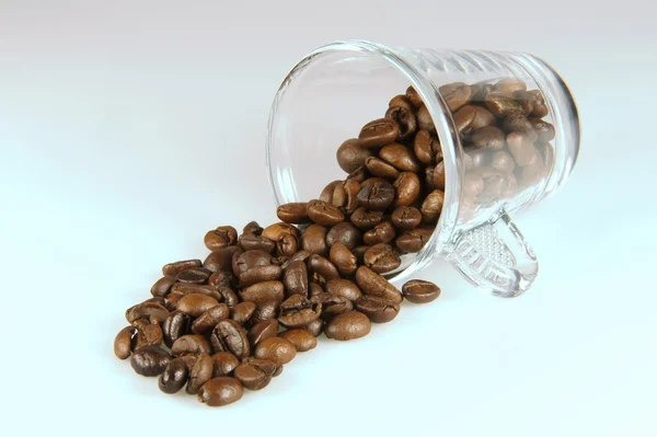 stock image Cup of coffee beans