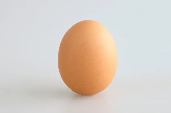 stock image Single Egg