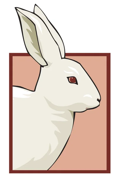 店里的兔子 — 图库矢量图片