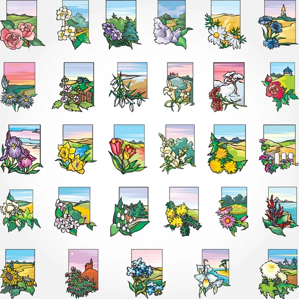 29 bloemen en landschap - een kaart, een achtergrond, een set. — Stockvector