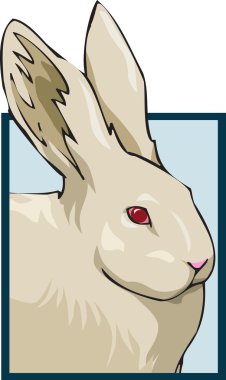 Rabbit for Shop 2 clipart