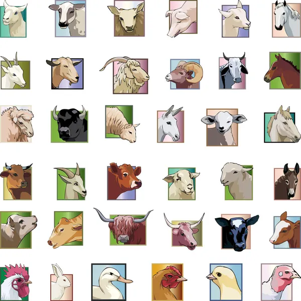 Set - animaux provenant d'une exploitation — Image vectorielle
