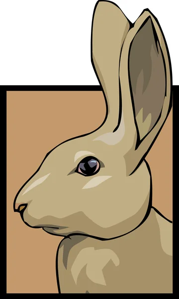 Tavşan için salonu 3 — Stok Vektör