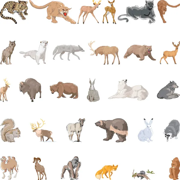 Ensemble d'animaux sauvages — Image vectorielle