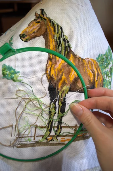 Embroidery a dagger - a horse — Stock Photo, Image