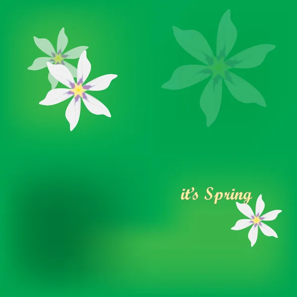 春天的花朵 — 图库矢量图片