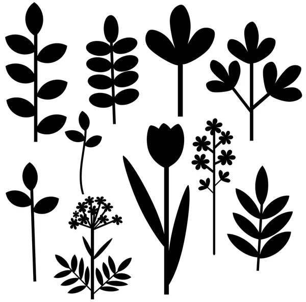 Φύλλα και άνθη — Διανυσματικό Αρχείο